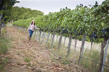 Image showing Young Female Farmer Inspecting the Grapes in Vineyard