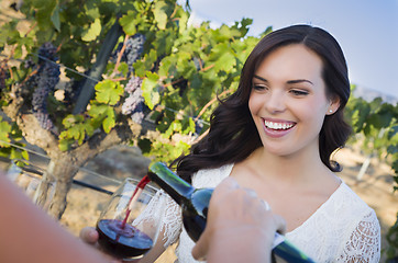 Image showing Young Woman Enjoying Glass of Wine in Vineyard With Friends