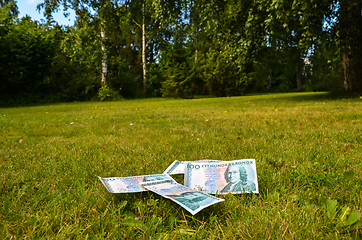 Image showing Bank notes in garden