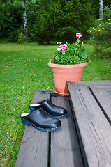 Image showing Pair of clogs