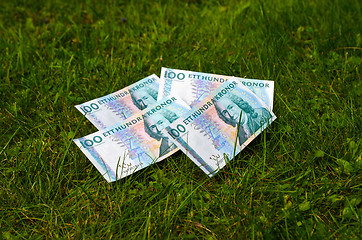 Image showing Banknotes at lawn