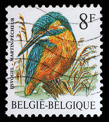 Image showing Stamp printed in Belgium shows bird