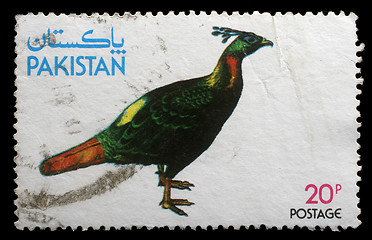 Image showing Stamp printed by Pakistan shows Kalij Pheasant