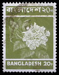 Image showing Stamp printed in Bangladesh shows flower