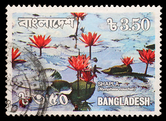 Image showing Stamp printed in Bangladesh shows water lilies