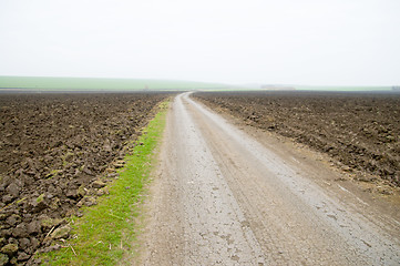 Image showing between fields