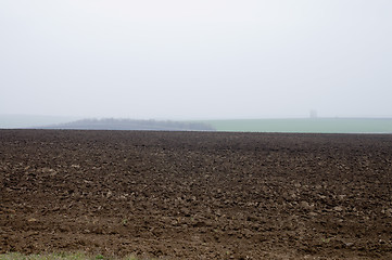 Image showing fallow field
