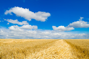 Image showing sky and rural view