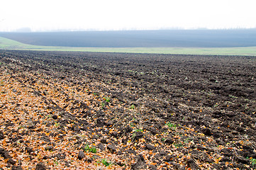 Image showing autumn