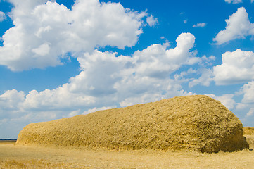 Image showing large stack of straw