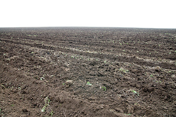 Image showing field in autumn