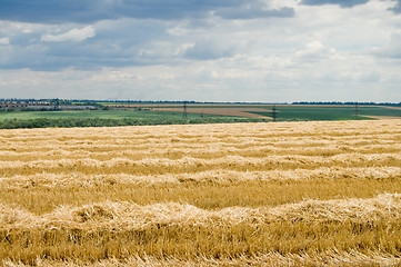 Image showing view to rural scene