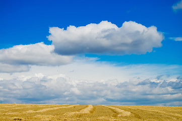 Image showing to gather in the harvest