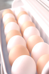 Image showing two rows of eggs in refrigerator