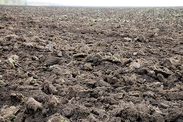 Image showing plowed field