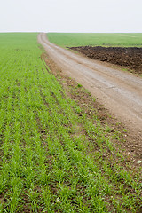 Image showing dirty road along field