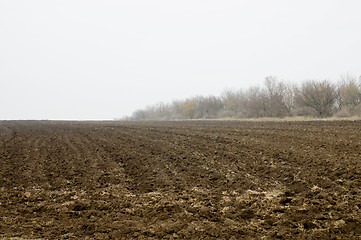 Image showing field in autumn