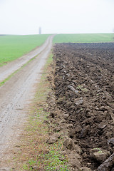 Image showing two fields