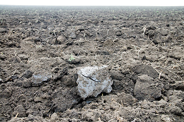 Image showing ploughed field