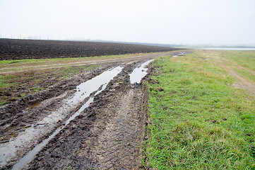 Image showing after rain