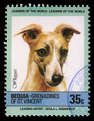 Image showing Stamp printed in Grenadines of St. Vincent shows Whippet dog