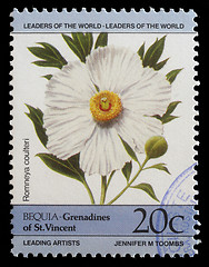 Image showing Stamp printed in Grenadines of St. Vincent shows Romneya coulteri flower