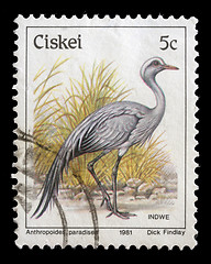 Image showing Stamp series printed in Ciskei shows Blue Crane