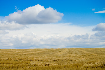 Image showing blue and gold