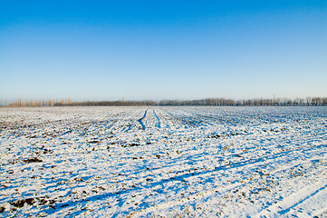 Image showing rural winter