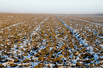 Image showing winter-field