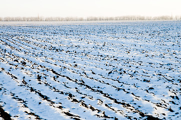 Image showing snow on field