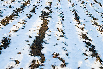 Image showing snow