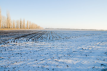Image showing under snow