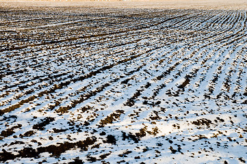 Image showing field in winter