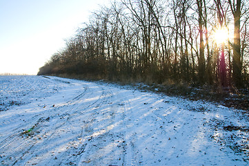 Image showing winter sun