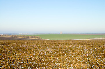 Image showing first snow