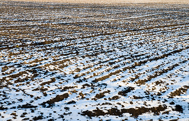 Image showing field in winter