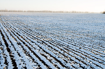 Image showing winter