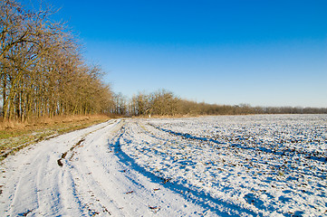 Image showing winter road