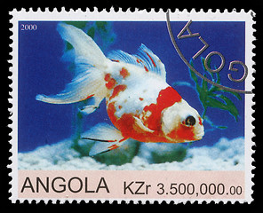 Image showing Stamp printed by Angola shows Goldfish