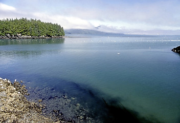 Image showing Shore