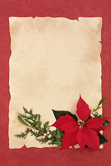 Image showing Poinsettia Flower Border