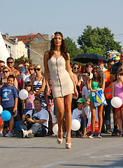 Image showing Belgrade Boat Carnival