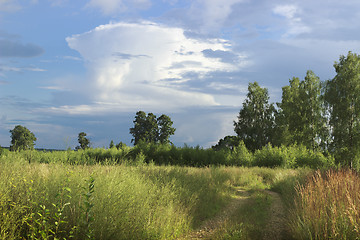 Image showing Offensive thunderstorm in the summer