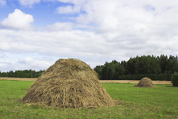 Image showing A pair of haystacks  on a green meadow