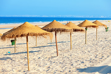 Image showing Umbrellas on the beach