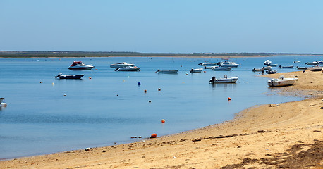 Image showing Mooring of boats near the shore