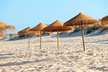 Image showing Umbrellas on the beach