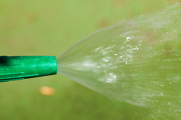 Image showing Watering plants and grass by nozzle