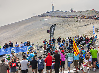 Image showing The Peloton on Mont Ventoux